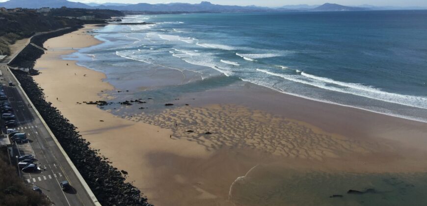 Exclu Btz Côte des Basques- 1 ère ligne Vue Océan