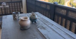 Saint Martin de Seignanx- T3 en exclusivité avec Belle terrasse